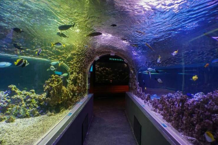 Бергенский аквариум