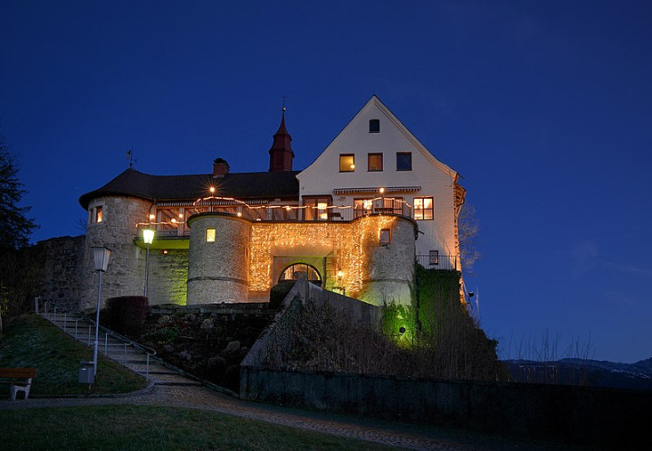 Замок Хоэнбрегенц