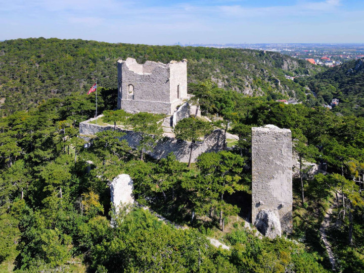 Развалины замка Мёдлинг 