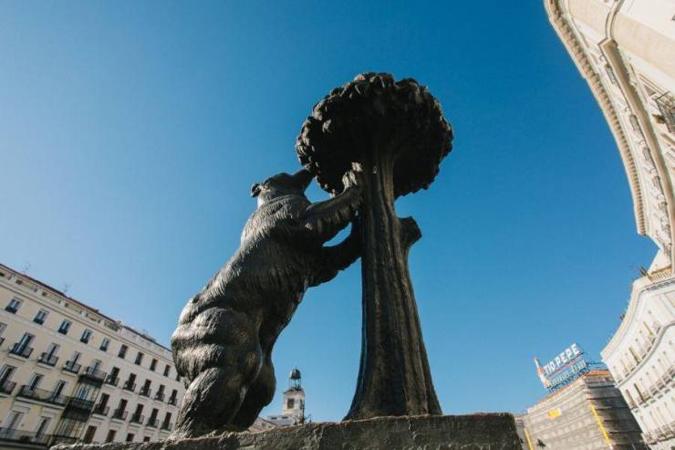 Один из символов Мадрида - скульптура "Медведь и фруктовое дерево" 