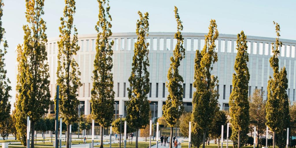 Климат и погода в Краснодаре - сезоны, когда лучше ехать и графики