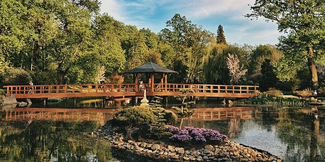Город Японский сад - интересное место Вроцлава