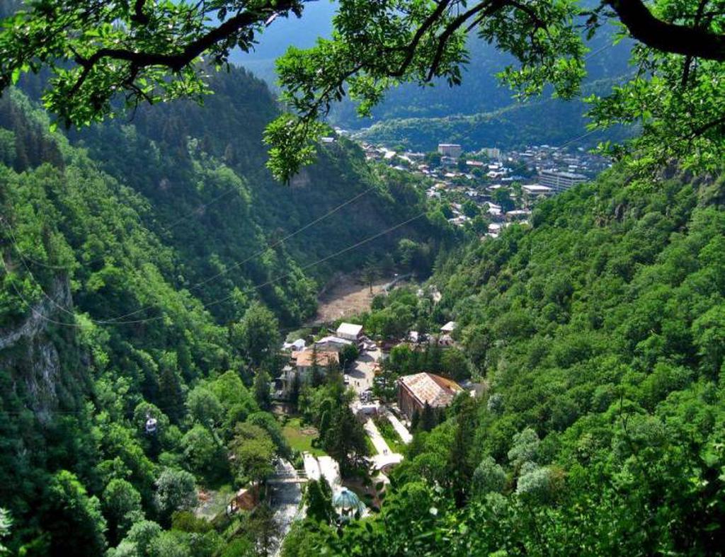 Панорама Боржоми