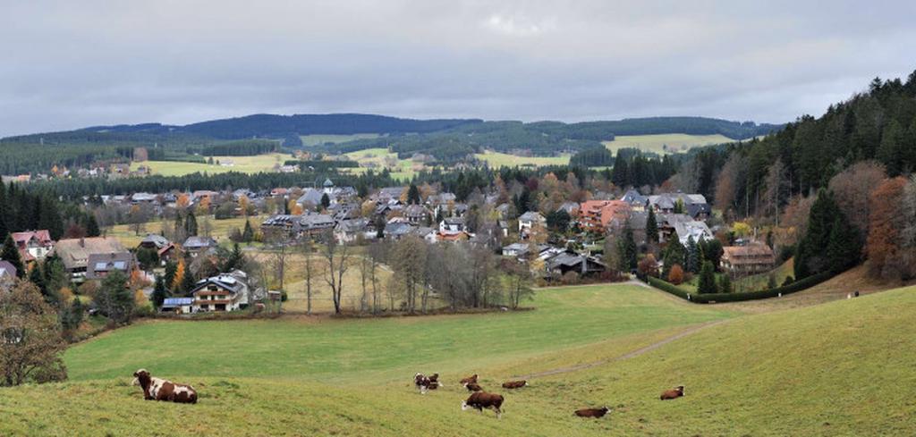 Панорама Хинтерцартена