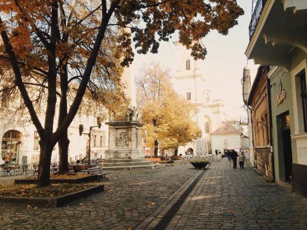 Улочки Клужа