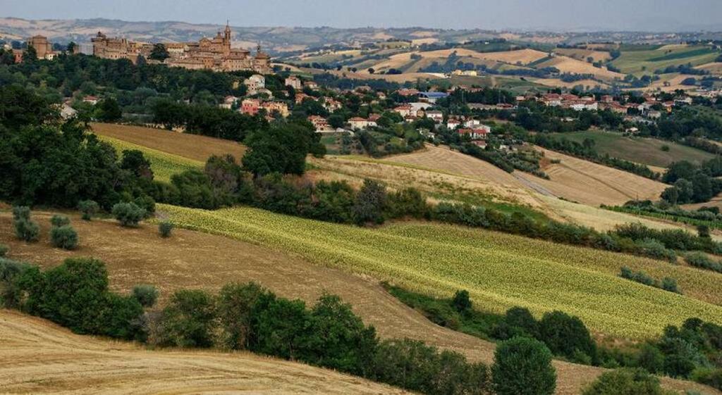 Панорама Коринальдо