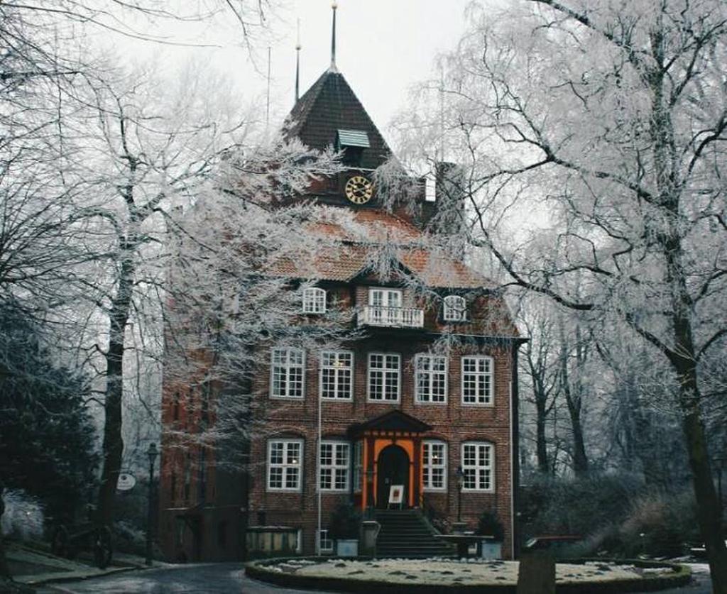 Замок Ritzebüttel
