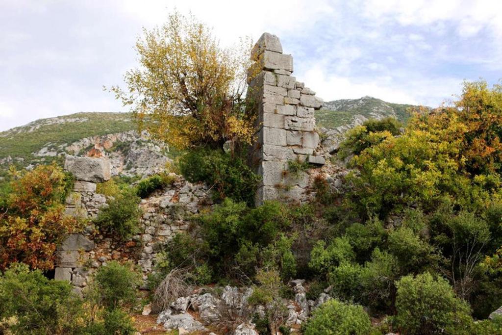 Леартис