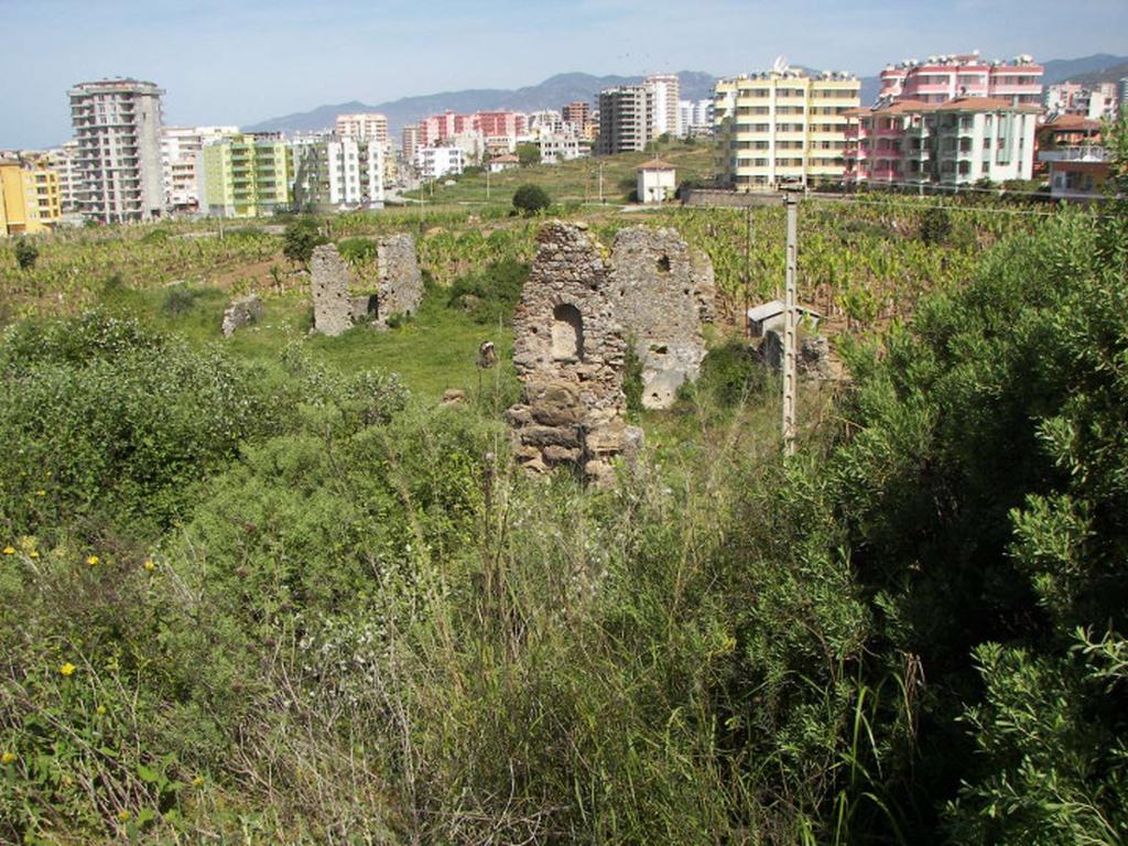 Наула