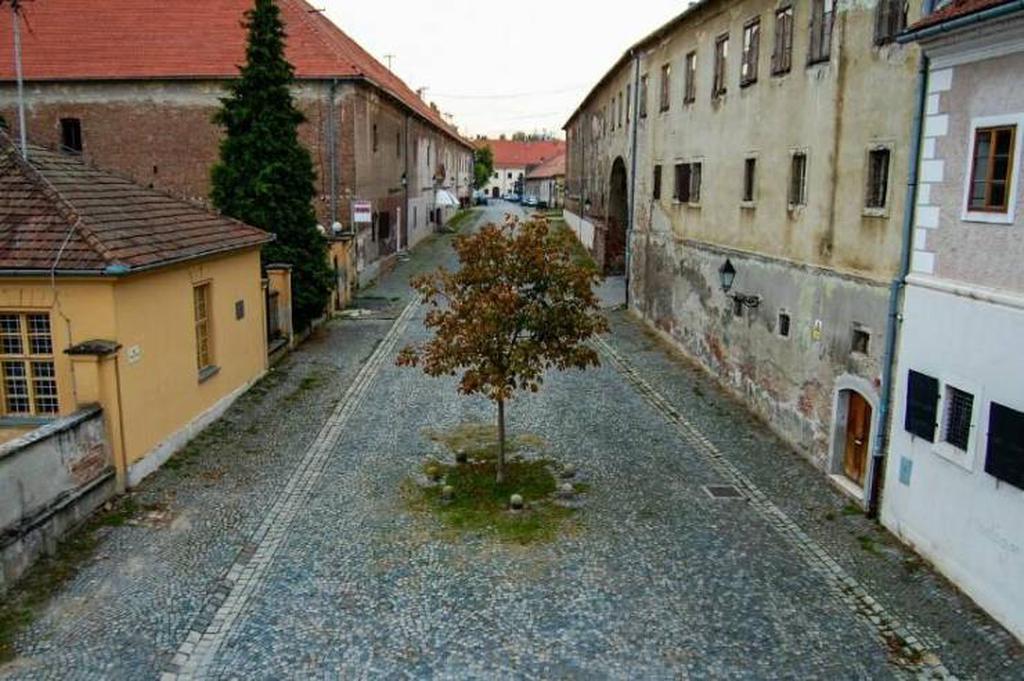 Улицы Осиека