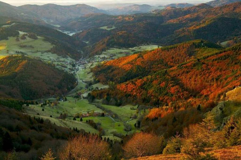 Осень в Шварцвальде
