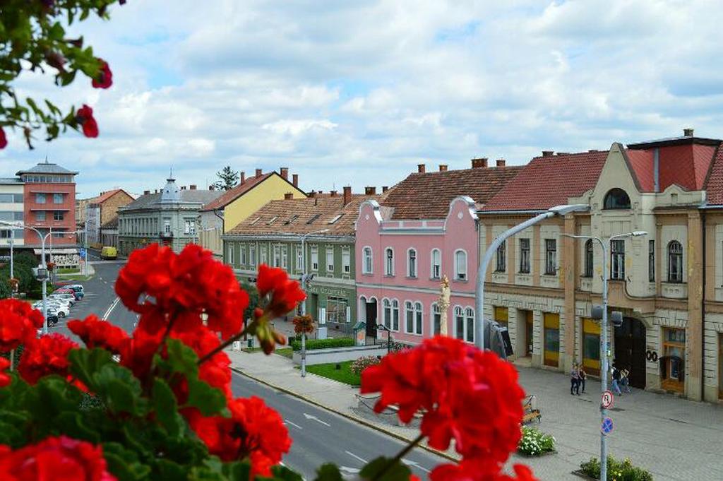 Тапольца