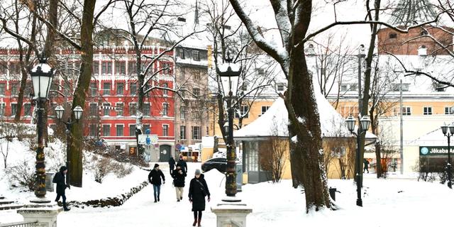 Экскурсия: Старая Рига — история и современность