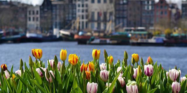 Экскурсия: Амстердам пешком и на кораблике!