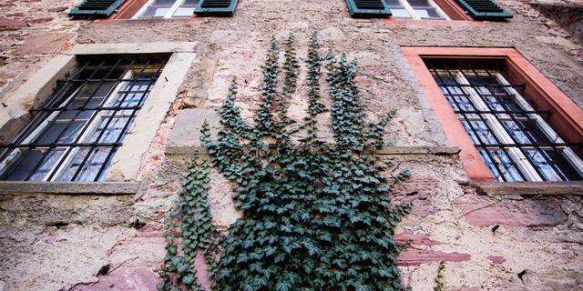 Экскурсия: Мистический Баден-Баден