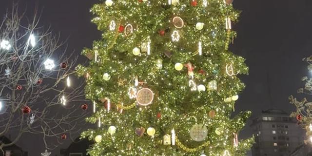 Экскурсия: Волшебное Рождество в Страсбурге