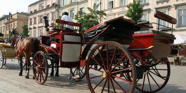 Экскурсия: Вена — классика и импровизация