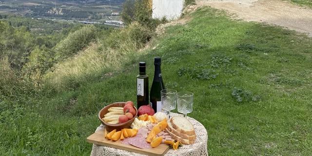 Экскурсия: Секреты каталонской деревни: история и вино Желиды