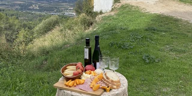 Экскурсия: Секреты каталонской деревни: история и вино Желиды