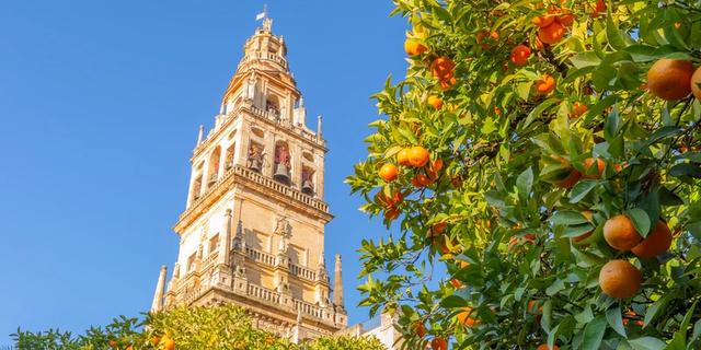 Экскурсия: Севилья: обзорная экскурсия + дом Пилата