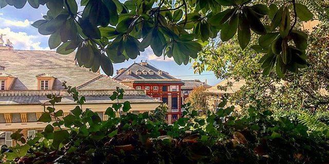 Экскурсия: «La Rue des rois» (Улица Королей)