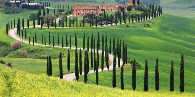 Экскурсия: Гастрономический интенсив по холмам Тосканы