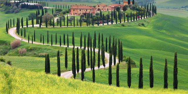 Экскурсия: Гастрономический интенсив по холмам Тосканы