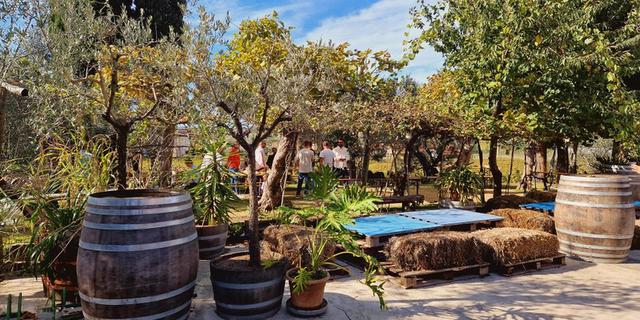 Экскурсия: Пиза и вкусы Тосканы: дегустация на винодельне у озера Массачукколи (из Ливорно)