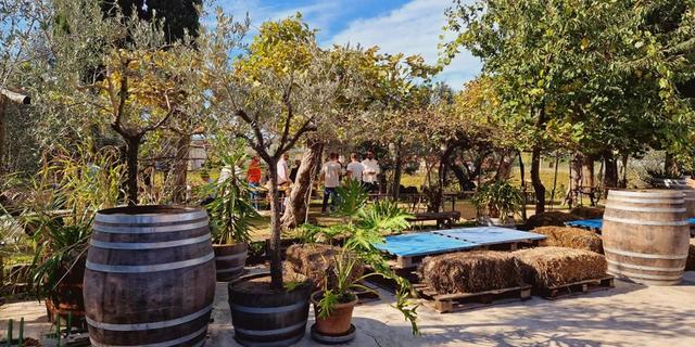 Экскурсия: Пиза и вкусы Тосканы: дегустация на винодельне у озера Массачукколи (из Ливорно)