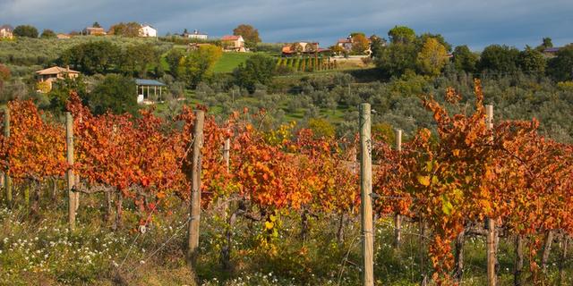 Экскурсия: Путешествие по городам Винной дороги Сагрантино (на вашем автомобиле)