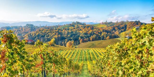 Экскурсия: Грац и Штирийская Тоскана. Персональный тур в сопровождении местного гида