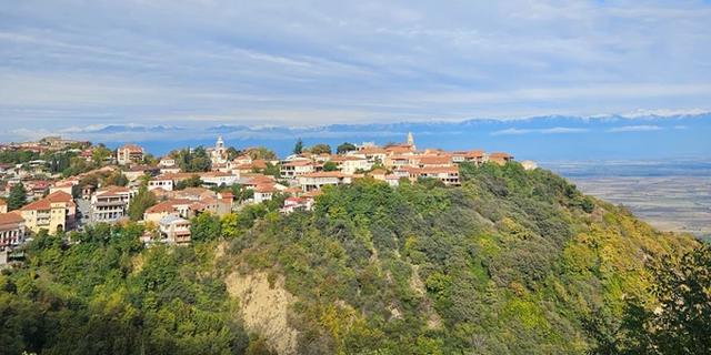 Экскурсия: Из Тбилиси — в Кахетию на весь день: вино, храмы и Сигнахи