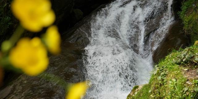 Экскурсия: Горная Аджария: природа, история, традиции