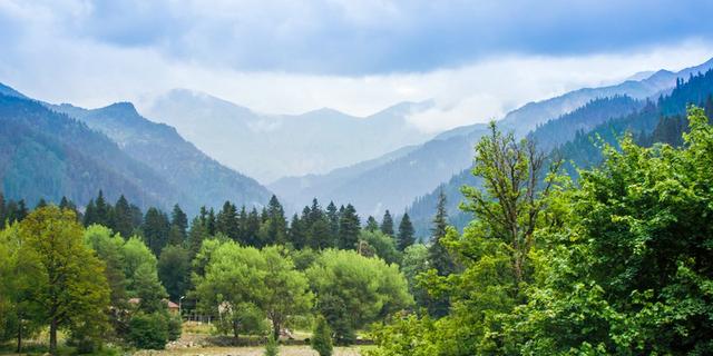 Экскурсия: Рача-Лечхуми: природа и кухня Западной Грузии