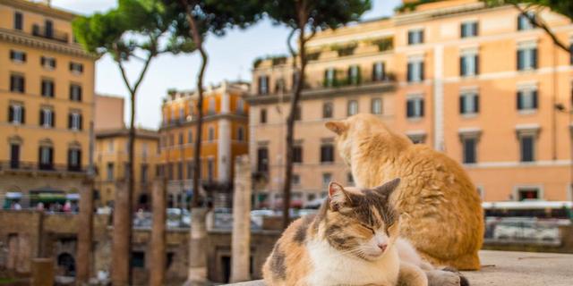 Экскурсия: Мистика и тайны вечернего Рима — в мини-группе