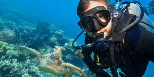 Экскурсия: На глубине Средиземного: дайвинг-приключение в Аланье