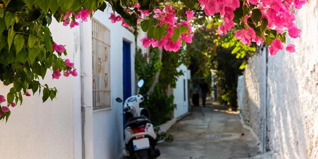 Экскурсия: Знакомьтесь, Бодрум!