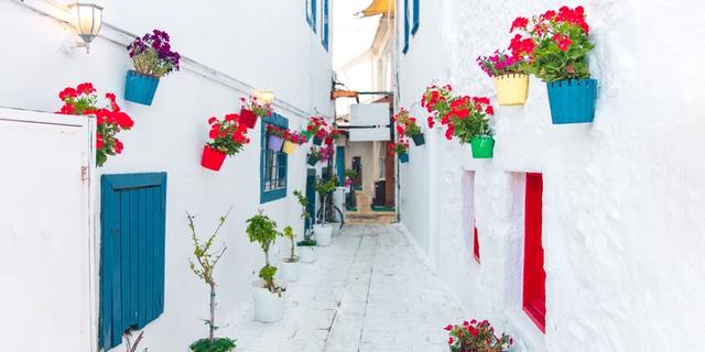 Экскурсия: Добро пожаловать в Бодрум!