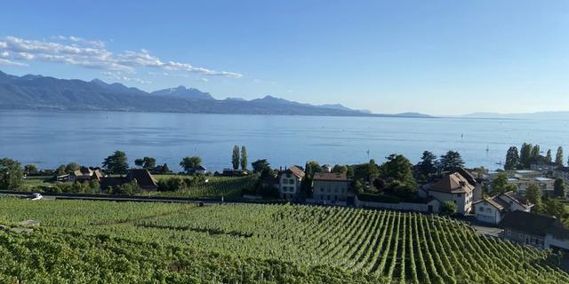 Экскурсия: Швейцарское вино? Нет, не слышали!