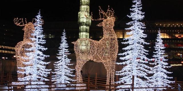 Экскурсия: За рождественской сказкой в Стокгольм