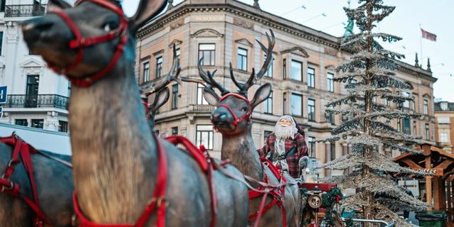 Экскурсия: Рождественский Копенгаген: игра света и красок