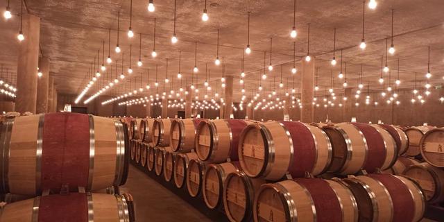 Экскурсия: Экскурсия на винодельни Медока