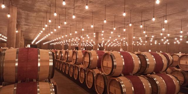 Экскурсия: Экскурсия на винодельни Медока