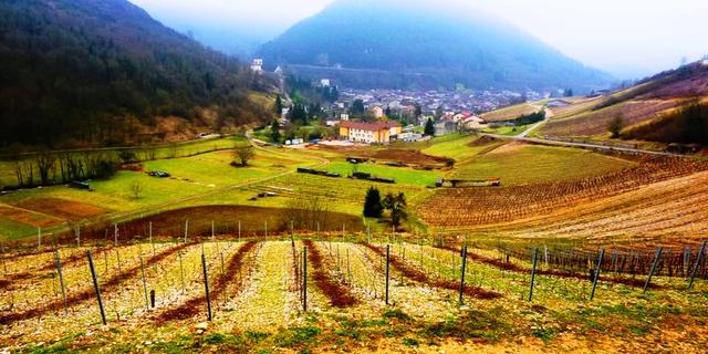 Экскурсия: Винные реки, сырные берега