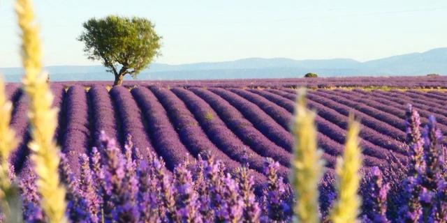 Экскурсия: Прованс за один день