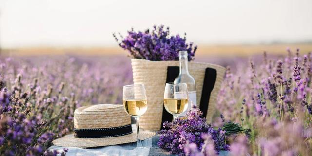 Экскурсия: В Прованс на цветение лаванды с дегустациями вин и устриц