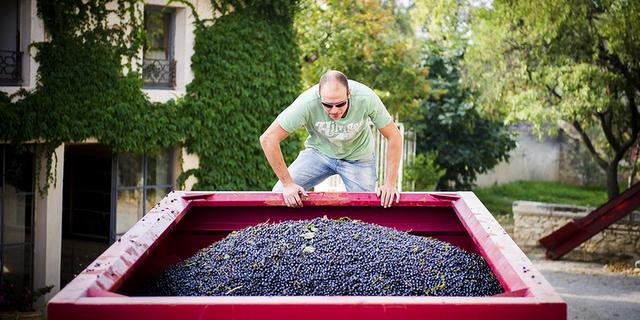 Экскурсия: Из Монпелье — на живописную французскую винодельню!