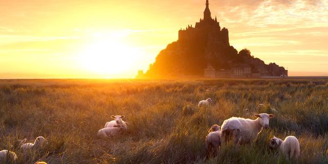 Экскурсия: Индивидуальный тур по побережью Ла-Манша: Мон-Сен-Мишель, Канкаль и Сен-Мало