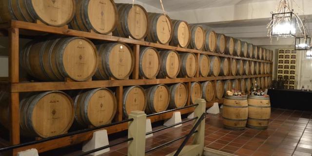 Экскурсия: Винодельни Байррады. Дегустационная экскурсия