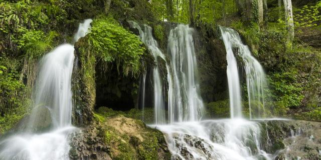 Экскурсия: Четыре стихии Странджи